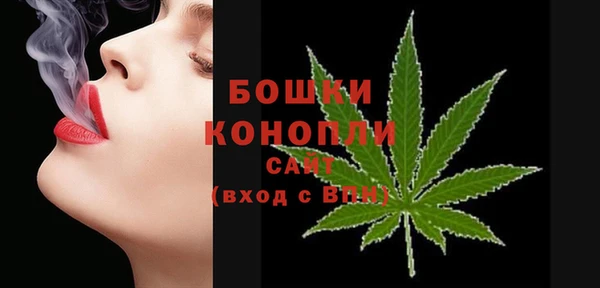 твердый Бронницы