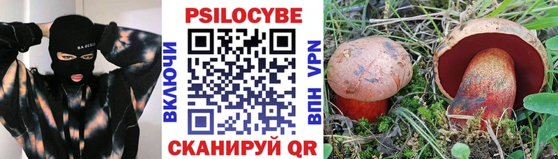 магазин    Мончегорск  Галлюциногенные грибы мухоморы 