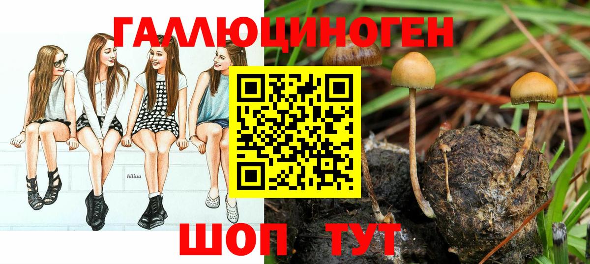 Мончегорск  Галлюциногенные грибы MAGIC MUSHROOMS  Псилоцибиновые грибы Psilocybe  Вход с VPN 