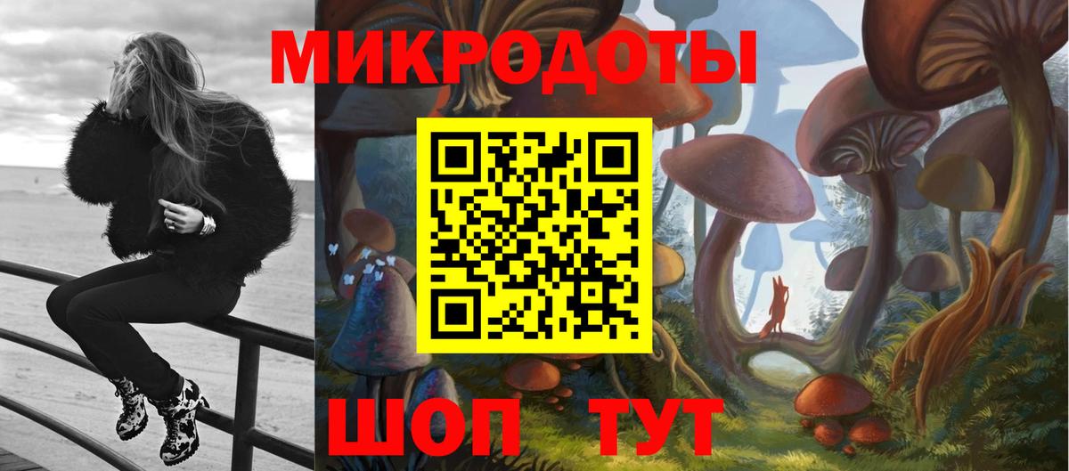 Галлюциногенные грибы ЛСД Мончегорск