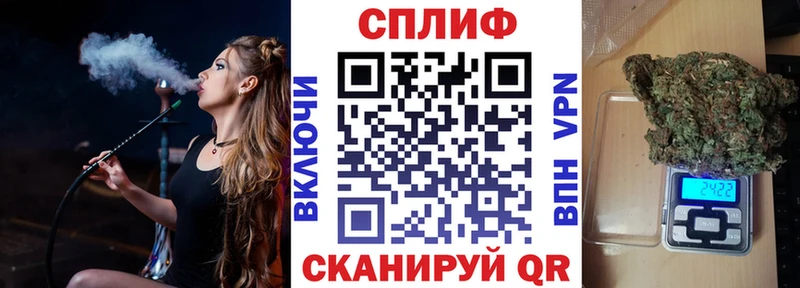 Конопля гибрид  Мончегорск 
